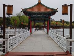 -长春市南湖公园