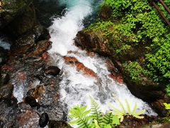 -西岭雪山大飞水景区
