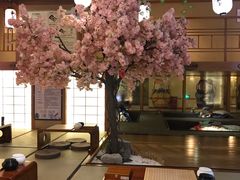 -汤泉良子(金源店)