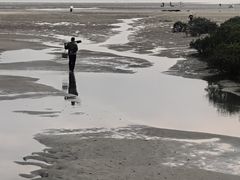 -北海金海湾红树林生态旅游区