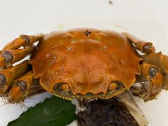 -苏小柳点心·手作小笼包(新街口分院店)