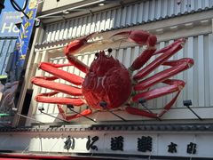 -蟹道乐(道顿堀本店)