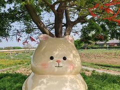 -江苏三台山国家森林公园