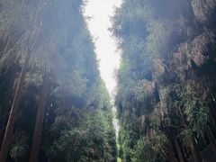 -太阳湾风景区