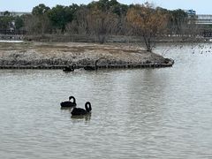-漩门湾国家湿地公园