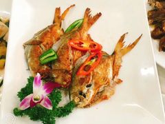 -花好悦园(瀛洲店)