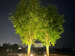 -东台西溪天仙缘景区