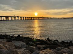 -宝安西湾红树林湿地公园