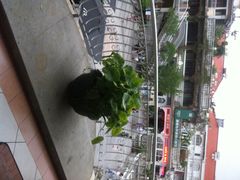 娜娜度假小旅馆-娜娜度假小旅馆