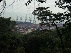 -小南山公园