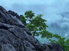 -千岛湖石林