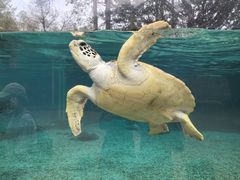 -广州海洋馆