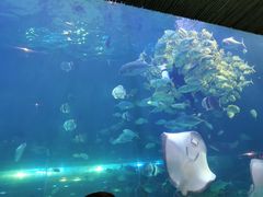 -华夏文旅西安度假区