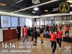 -温鉴良实用咏春拳