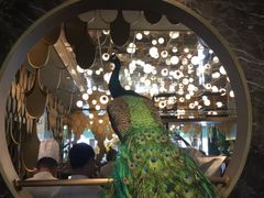 -雀蓝川菜(奥体广场店)