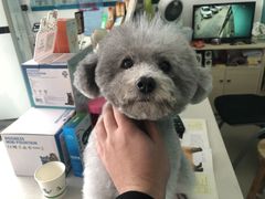 -乐琪宠物医院·犬猫专科·骨外科·急重症