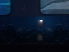 -北戴河圣蓝海洋公园