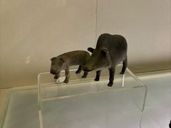 -旅顺博物馆