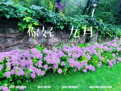 -北京张裕爱斐堡酒庄