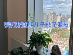 -曼朗心理咨询·青少年儿童·婚姻家庭职场