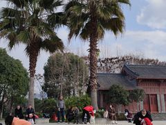 -眉山湿地公园(东坡区)