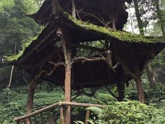 -青城山