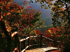 -周口店坡峰岭风景区
