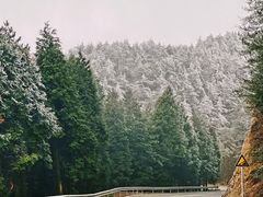 -四明山国家森林公园