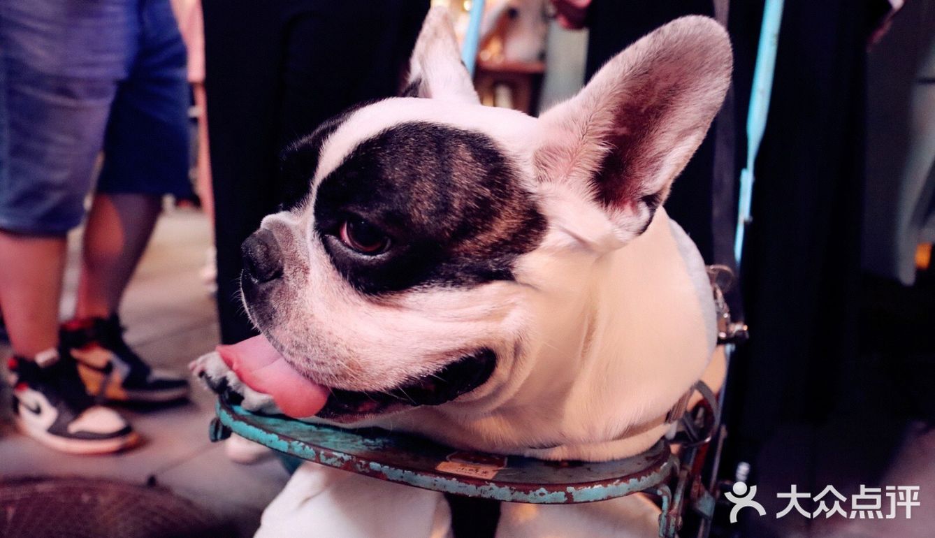 青年路朝悦夜市坏笑