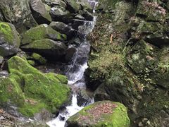 -藏龙百瀑风景区