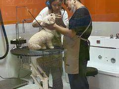 -BABIT巴比特宠物(MOMOPARK店)