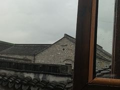 -两棵枇杷树