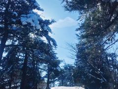 -天姥山