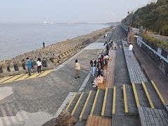 -上海滨江森林公园
