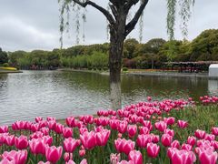 -上海鲜花港