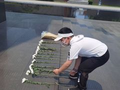 -侵华日军南京大屠杀遇难同胞纪念馆-停车场