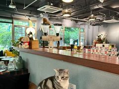 -咖法森林·咖啡  酒吧(天河店)