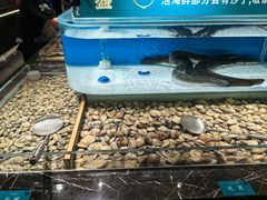 -東盛炭烤自助料理(玄武招商花园城店)