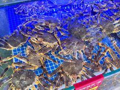 -驻海渔市(置信店)