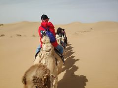 -亿利库布其七星湖沙漠生态旅游区