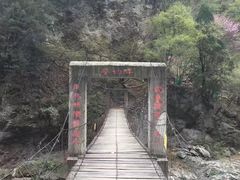 -黑河国家森林公园