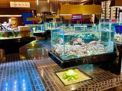 -璞御·海鲜·雪花牛肉局(宾水西道店)