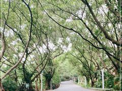 -白水带风景区体育公园