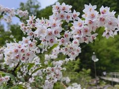 -叠溪松坪沟景区