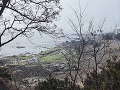 -燕儿岛山公园