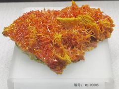 -湖南省地质博物馆