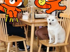 -柴の食堂·日式家庭料理·熊之肆(大学路店)