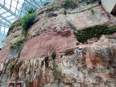 -乐山市博物馆