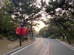 -棒棰岛宾馆景区