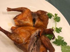 -沙龙酒家